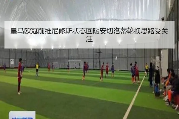 皇马欧冠前维尼修斯状态回暖安切洛蒂轮换思路受关注